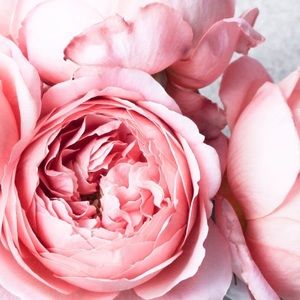 Meet your Posher, Crystal